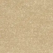 Woven gold fabric texture with irregular dense weave, horizontal & vertical threads, “bross fabric col. 36” text detail.